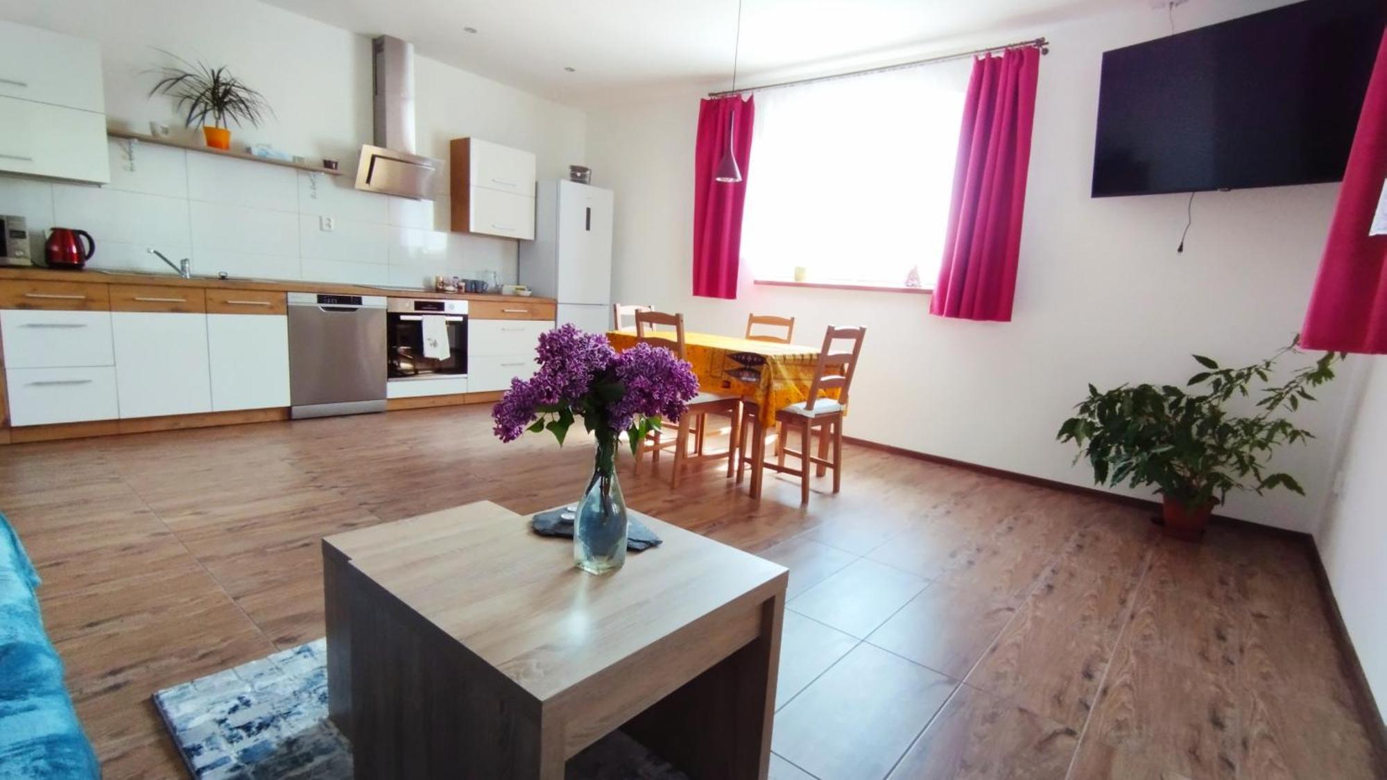 Apartman Scheyer Frýdek-Místek エクステリア 写真